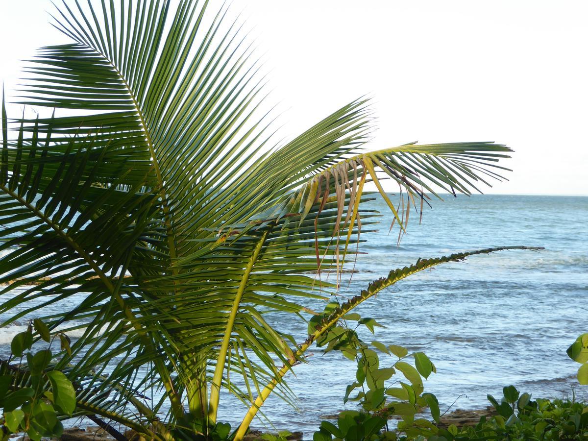Coco Bungalows Sainte-Rose Exterior foto